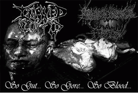 Erythrioblastosis Fetalis : So Gut... So Gore... So Blood...